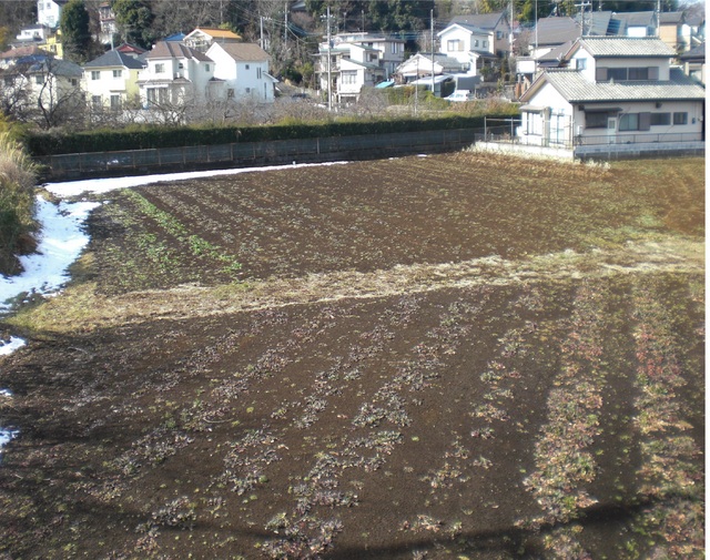八王子市片倉町　第２期　　土地分譲　事業用地