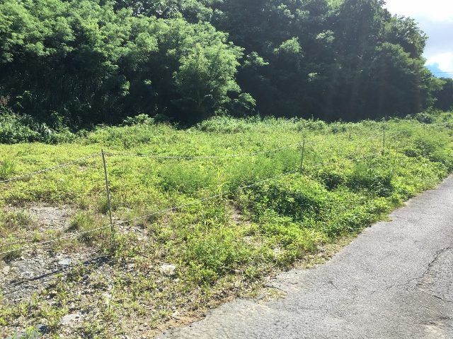 中頭郡北谷町砂辺　土地分譲　事業用地