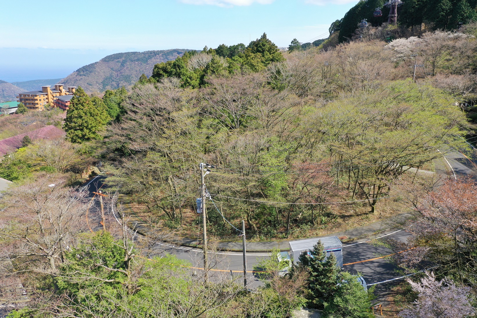 足柄下郡箱根町強羅　第６期　　土地分譲　事業用地